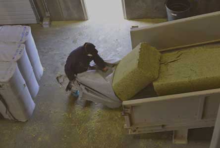 Loading hops into bale breaker at Hollingbery