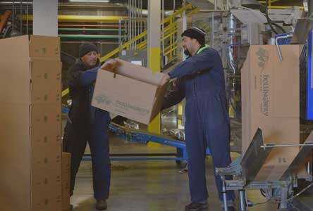 Hollingbery workers in hop storage room